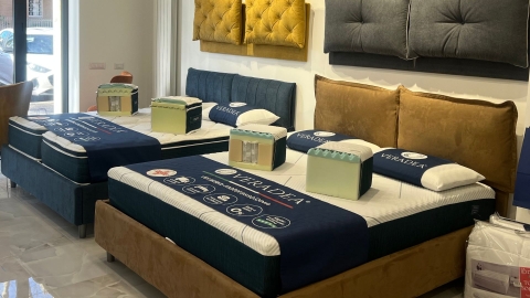 Veradea digital store Ostia